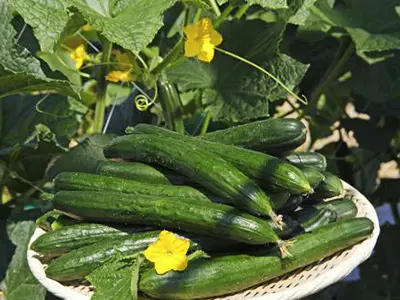 1698109633677665.png 7.png