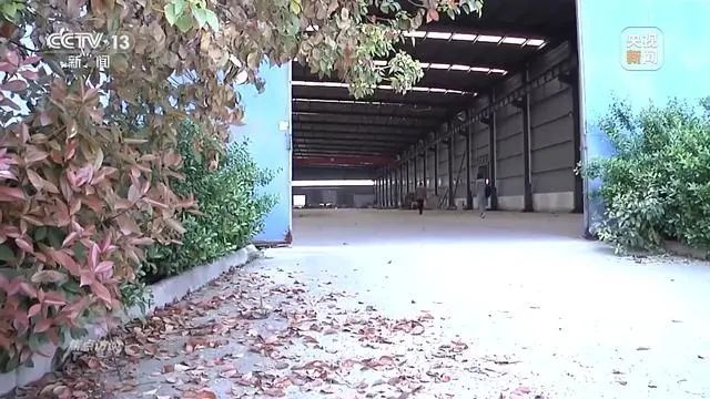 1721095978379045.jpg 6d8b4c347103b22b589e99049a85db7a.jpg